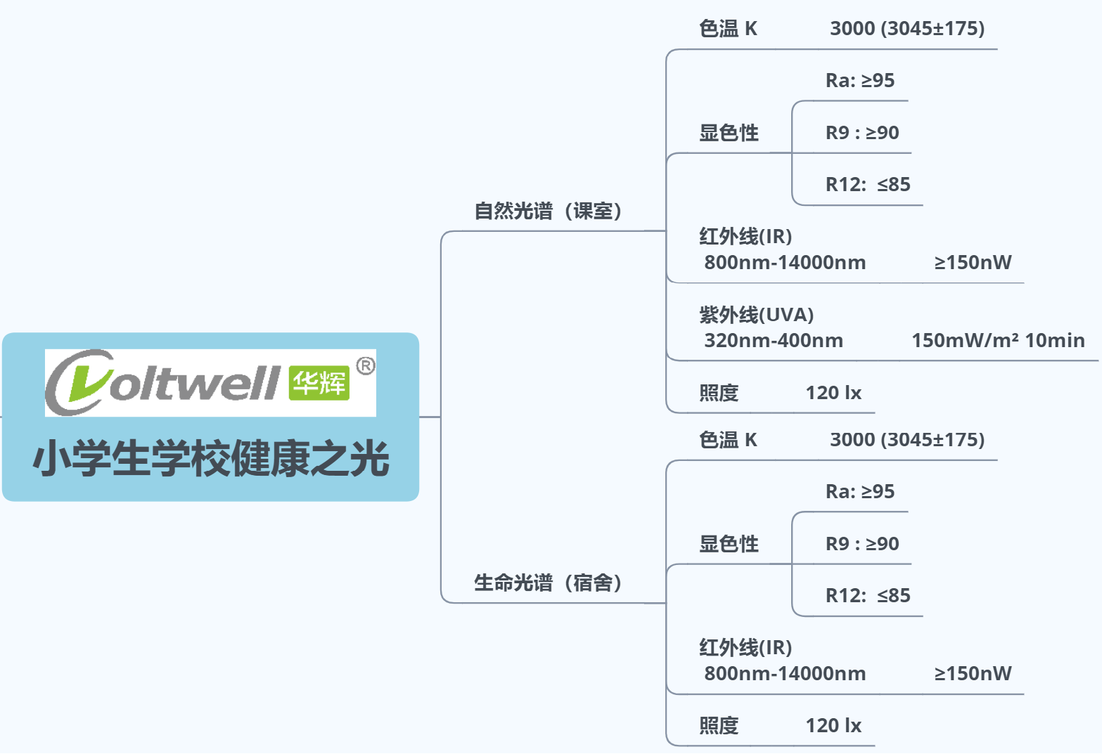 4 小學生學校健康之光.png