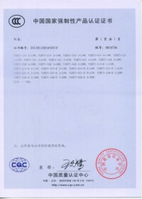 T5電子燈盤CCC證書-附錄